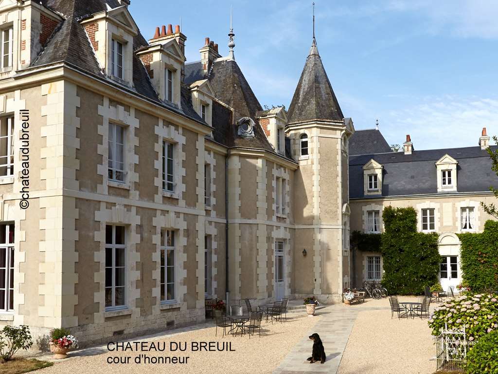 Chateau Du Breuil シュヴェルニー エクステリア 写真