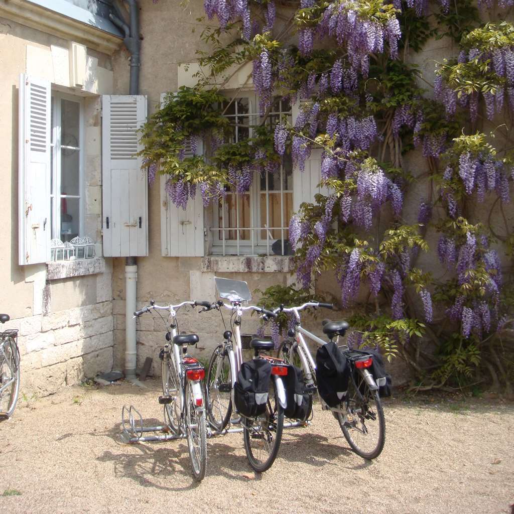 Chateau Du Breuil シュヴェルニー エクステリア 写真