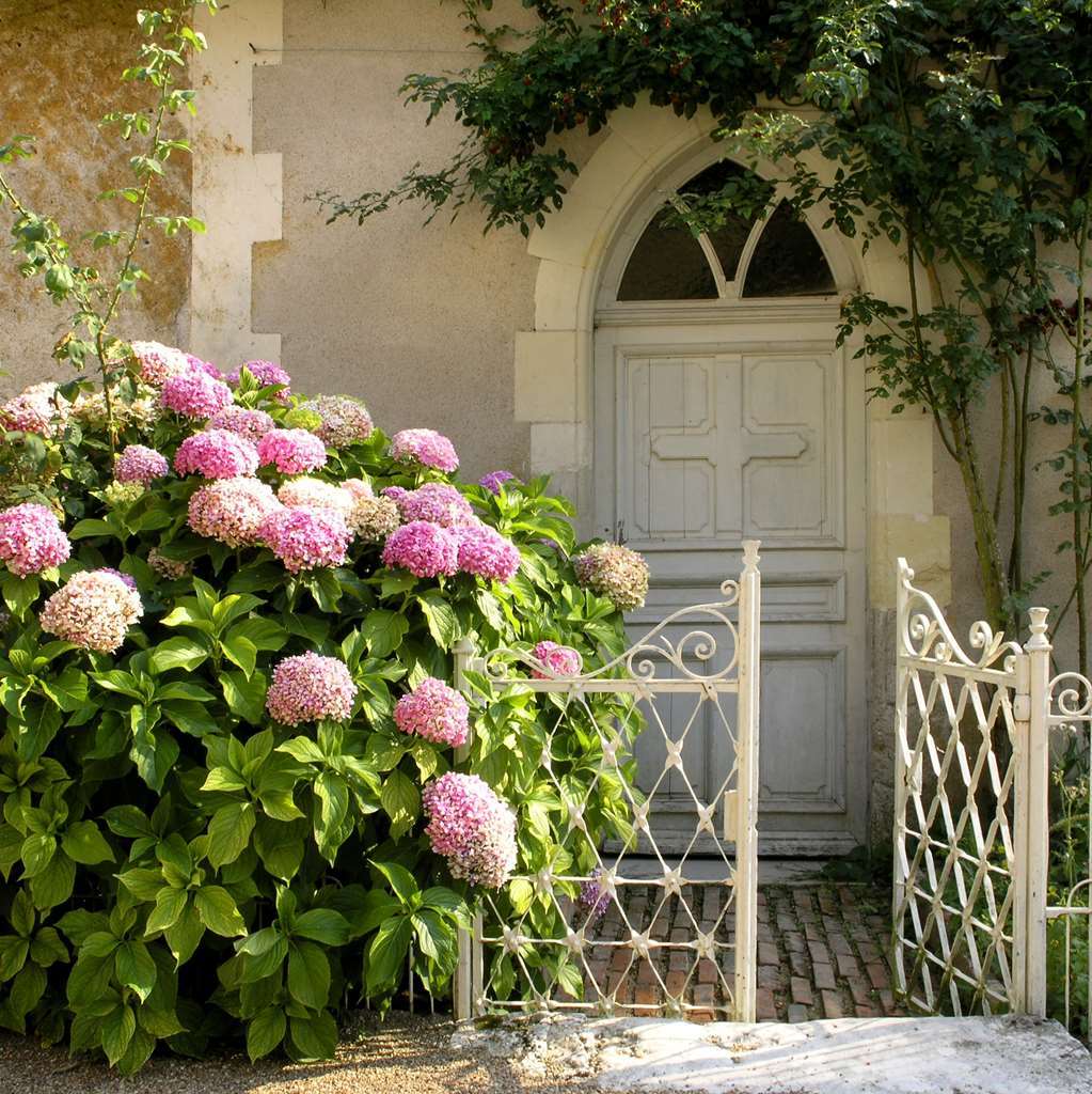 Chateau Du Breuil シュヴェルニー エクステリア 写真