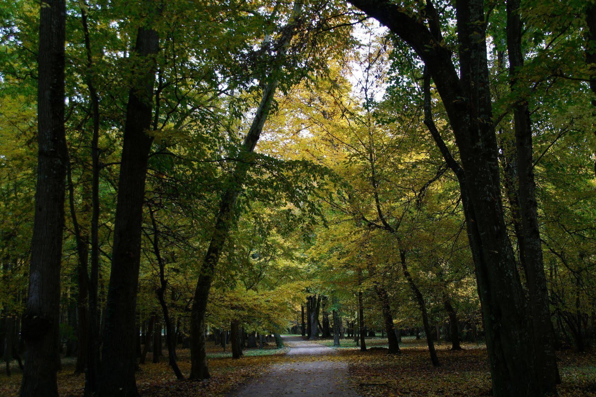 Chateau Du Breuil シュヴェルニー エクステリア 写真